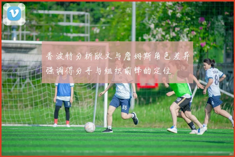 香波特分析欧文与詹姆斯角色差异强调得分手与组织前锋的定位