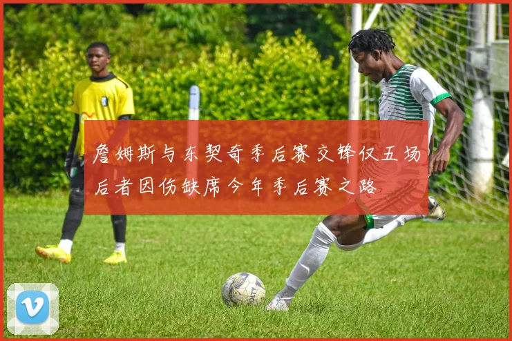 詹姆斯与东契奇季后赛交锋仅五场后者因伤缺席今年季后赛之路